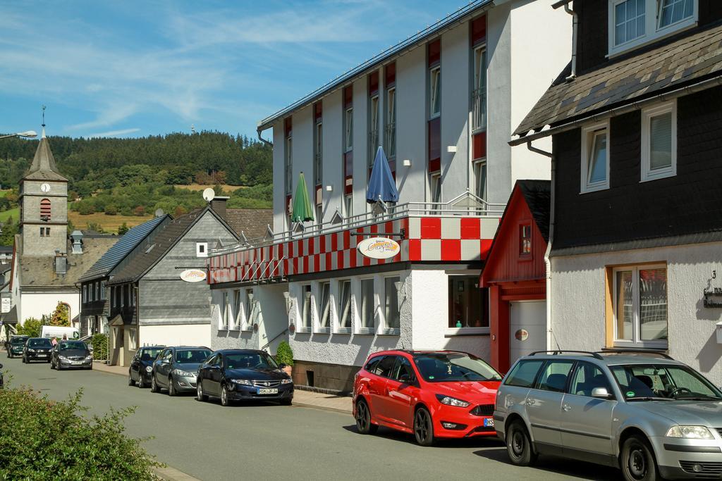 Hotel Garni Elegant Willingen  Ngoại thất bức ảnh